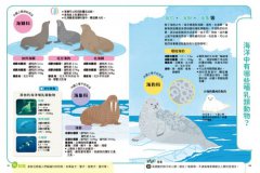 【科學小種籽】第一輯生物篇(套書3冊)：給3~8歲好奇孩子的科學閱讀，聽•讀•查•玩四合一體驗（附23篇故事音檔+家長共讀建議） 圖片 7