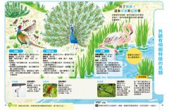 【科學小種籽】第一輯生物篇(套書3冊)：給3~8歲好奇孩子的科學閱讀，聽•讀•查•玩四合一體驗（附23篇故事音檔+家長共讀建議） 圖片 10