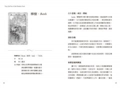 凱爾特聖樹神諭卡【精裝書盒版】：連結大地之靈，歐甘樹文的魔法力量（25張牌卡＋解說手冊＋絨布束口袋） 圖片 6
