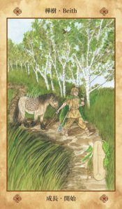 凱爾特聖樹神諭卡【精裝書盒版】：連結大地之靈，歐甘樹文的魔法力量（25張牌卡＋解說手冊＋絨布束口袋） 圖片 10