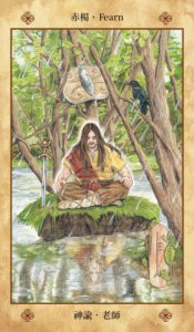 凱爾特聖樹神諭卡【精裝書盒版】：連結大地之靈，歐甘樹文的魔法力量（25張牌卡＋解說手冊＋絨布束口袋） 圖片 12