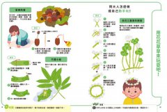 【科學小種籽】第二輯科學篇(套書3冊)：給3~8歲好奇孩子的科學閱讀，聽•讀•查•玩四合一體驗（附23篇故事音檔+家長共讀建議） 圖片 4