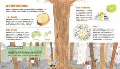 時間從哪裡來（附贈「多功能時間學習轉盤」）：給孩子的時間啟蒙百科全書（共兩冊） 圖片 5