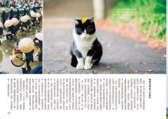 環遊日本摩托車日記【精裝版】：走遍47都道府縣、1741市町村，看見最美麗的日本風景 圖片 10