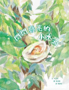 閃閃發亮的小水滴 圖片 7
