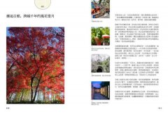 細遊京都：一踏上就熟門熟路！吃、買、逛、遊、體驗，全方位攻略 圖片 2
