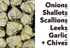 蔬食料理聖經（上）：葉菜、花菜、蔥蒜、嫩莖、玉米與番薯篇 圖片 7
