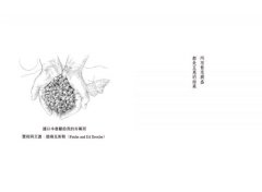 禮物經濟：所有繁茂興盛都是互惠的結果。《三千分之一的森林》《編織聖草》作者基默爾最新暢銷力作 圖片 2