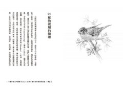 禮物經濟：所有繁茂興盛都是互惠的結果。《三千分之一的森林》《編織聖草》作者基默爾最新暢銷力作 圖片 5