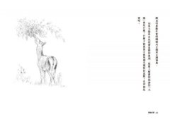 禮物經濟：所有繁茂興盛都是互惠的結果。《三千分之一的森林》《編織聖草》作者基默爾最新暢銷力作 圖片 7