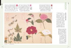 日本傳統色美學配色事典【圖解案例版】：以竹久夢二、琳派、源氏物語和服、美人畫等頂級珍貴收藏為例，帶你活用283傳統色＋175器物實例＋260經典組成色號 圖片 8