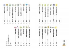 和路邊的花草做朋友：30種植物圖鑑Ｘ400幅手繪自然插圖，發現野草與人連結的日日趣味與生命智慧 圖片 2