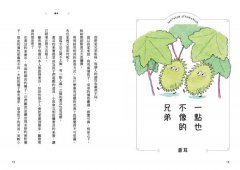 和路邊的花草做朋友：30種植物圖鑑Ｘ400幅手繪自然插圖，發現野草與人連結的日日趣味與生命智慧 圖片 9