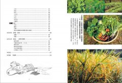 自然農【第1次栽培全圖解】：活化地力，最低程度介入的奇蹟栽培法〔10週年暢銷經典版〕 圖片 3