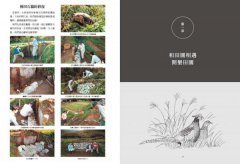 自然農【第1次栽培全圖解】：活化地力，最低程度介入的奇蹟栽培法〔10週年暢銷經典版〕 圖片 5