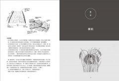 自然農【第1次栽培全圖解】：活化地力，最低程度介入的奇蹟栽培法〔10週年暢銷經典版〕 圖片 8