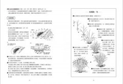 自然農【第1次栽培全圖解】：活化地力，最低程度介入的奇蹟栽培法〔10週年暢銷經典版〕 圖片 11