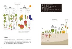 蔬食料理聖經（下）：瓜類、豆類、果實、馬鈴薯與根莖篇 圖片 5