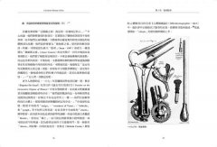 性的奇妙歷史（18禁）：聖妓、英國雨衣與閃亮的尿液，連性學大師都（可能）要跪著讀的情慾讀本 圖片 5