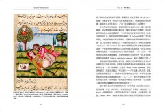 性的奇妙歷史（18禁）：聖妓、英國雨衣與閃亮的尿液，連性學大師都（可能）要跪著讀的情慾讀本 圖片 6