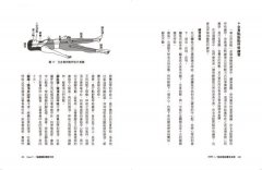 瑜伽睡眠實修法：停駐於心穴，體驗與神合一的圓滿喜樂 圖片 8
