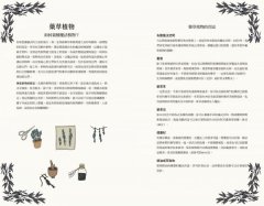 新手魔法手冊：藥草、水晶、儀式、占卜、塔羅⋯⋯你的第一本靈性指引 圖片 3