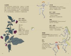 新手魔法手冊：藥草、水晶、儀式、占卜、塔羅⋯⋯你的第一本靈性指引 圖片 5