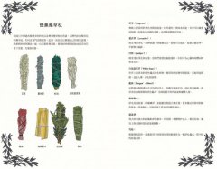 新手魔法手冊：藥草、水晶、儀式、占卜、塔羅⋯⋯你的第一本靈性指引 圖片 6