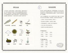 新手魔法手冊：藥草、水晶、儀式、占卜、塔羅⋯⋯你的第一本靈性指引 圖片 7