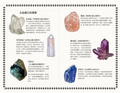 新手魔法手冊：藥草、水晶、儀式、占卜、塔羅⋯⋯你的第一本靈性指引 圖片 8