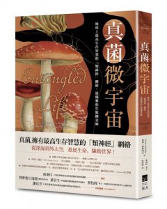 真菌微宇宙：地球上最高生存智慧的「類神經」網絡，最優雅的生態鍊金師 圖片 1
