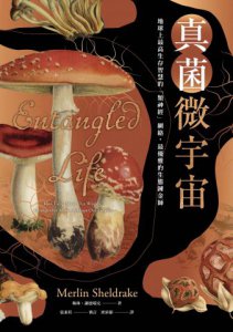 真菌微宇宙：地球上最高生存智慧的「類神經」網絡，最優雅的生態鍊金師 圖片 2