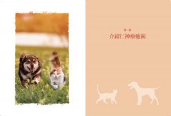 寵物仁神術：貓狗全身能量點圖解，平日保健、緩解症狀，自學觸療超簡單！ 圖片 5