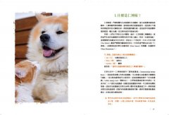 寵物仁神術：貓狗全身能量點圖解，平日保健、緩解症狀，自學觸療超簡單！ 圖片 6