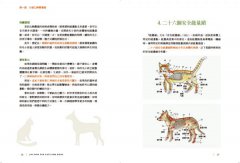 寵物仁神術：貓狗全身能量點圖解，平日保健、緩解症狀，自學觸療超簡單！ 圖片 8