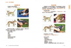 寵物仁神術：貓狗全身能量點圖解，平日保健、緩解症狀，自學觸療超簡單！ 圖片 9