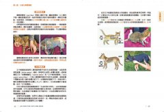 寵物仁神術：貓狗全身能量點圖解，平日保健、緩解症狀，自學觸療超簡單！ 圖片 10