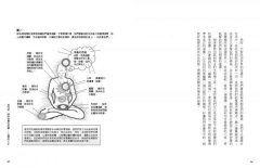 眾神的食物【食氣三部曲1】：以神性養分「普拉納」維生，從「身體、情緒、心智、靈性」的飢餓中解脫 圖片 7