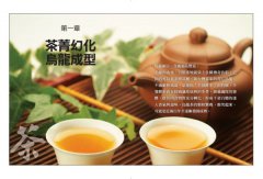 台灣茶第一堂課：頂尖茶人教你喝茶一定要知道的事！ 圖片 5