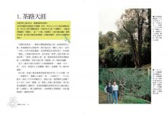 台灣茶第一堂課：頂尖茶人教你喝茶一定要知道的事！ 圖片 6