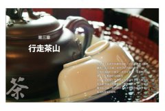 台灣茶第一堂課：頂尖茶人教你喝茶一定要知道的事！ 圖片 7
