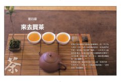 台灣茶第一堂課：頂尖茶人教你喝茶一定要知道的事！ 圖片 10