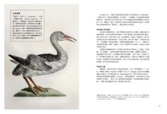 鳥類傳說：從羽翼到寓意，鳥的神話、象徵、生態奧祕與人類千年想像 圖片 4