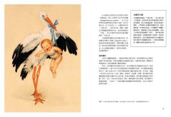 鳥類傳說：從羽翼到寓意，鳥的神話、象徵、生態奧祕與人類千年想像 圖片 9
