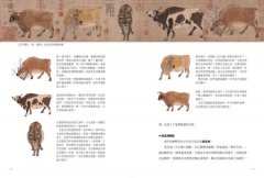 句句有梗的中國藝術小史：萬年歷史&經典名家名作，全有記憶點，去故宮不再走迷宮 圖片 9