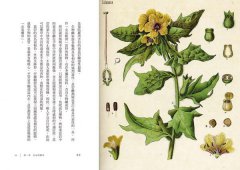 藥草與魔法：女巫、符咒、飛行軟膏與西方古老傳說 圖片 4