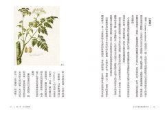 藥草與魔法：女巫、符咒、飛行軟膏與西方古老傳說 圖片 5