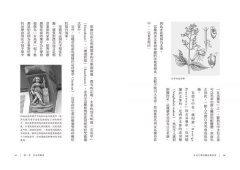 藥草與魔法：女巫、符咒、飛行軟膏與西方古老傳說 圖片 9
