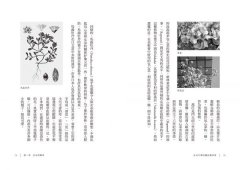 藥草與魔法：女巫、符咒、飛行軟膏與西方古老傳說 圖片 10