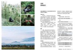用攝影說故事：感動人心的訣竅，自拍或提案立刻上手 圖片 10